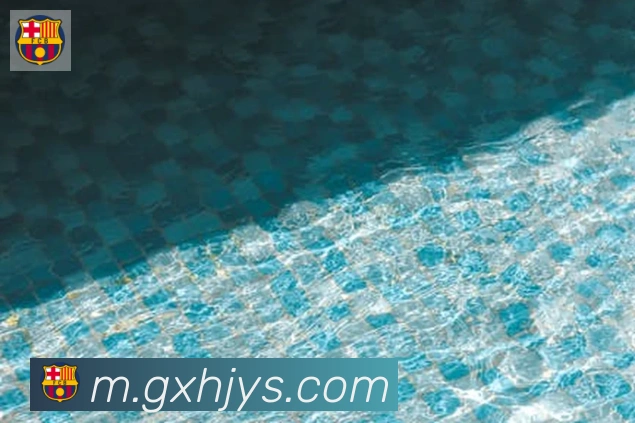 博亚app发展历程