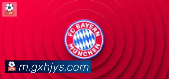 博亚app合作伙伴